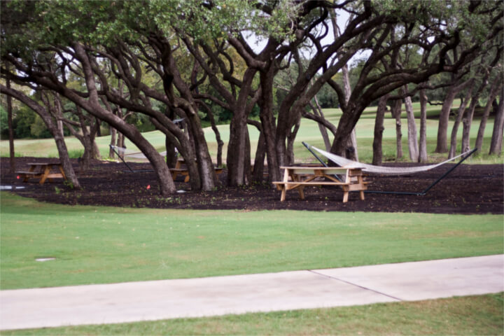 Kerrville Meeting